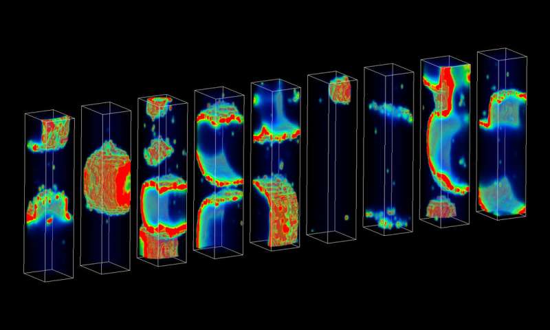  New Computer Model Sheds Light on Biological Events Leading to Sudden Cardiac Death